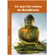 Ce que j’ai retenu  du Bouddhisme…
