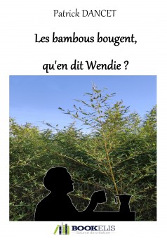 Les bambous bougent, qu'en dit Wendie? - Couverture Ebook auto édité