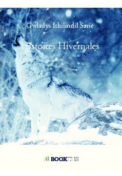 Histoires Hivernales - Couverture de livre auto édité