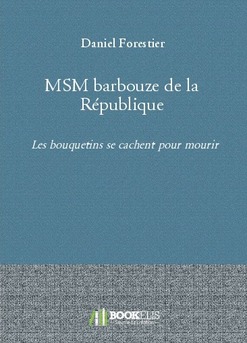 MSM barbouze de la République - Couverture de livre auto édité