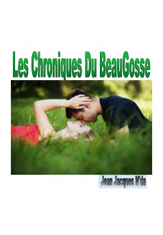 Les Chroniques Du Beau Gosse - Couverture Ebook auto édité