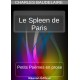 Le Spleen de Paris